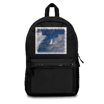 Discover NASA Space Shuttle Endeavour STS-113 Earth Orbit Backpacks