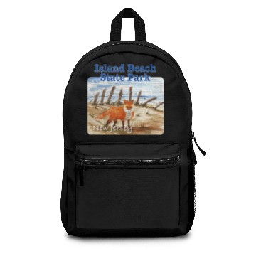 Discover Island Beach State Park, New Jersey Backpacks