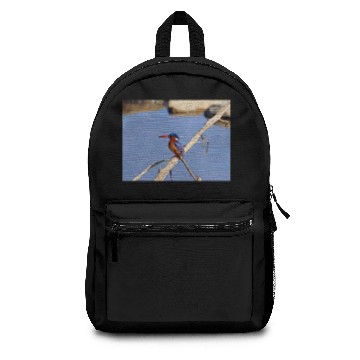 Discover Malachite Kingfisher Backpacks
