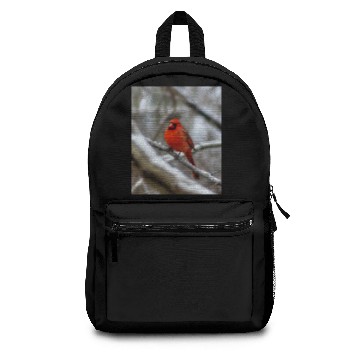 Discover Male Cardinal Backpacks