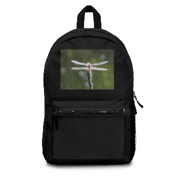 Discover Light grey dragonfly Backpacks