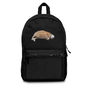 Discover Cat Nap Backpacks