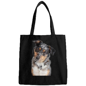 Discover Australian Shepherd 3 Bags