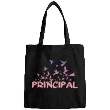 Discover Principal Social Worker for Super Educator 2 Bags