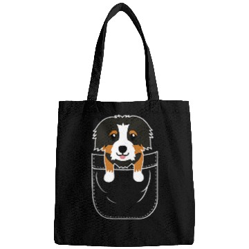 Discover Cute Bernedoodle Dog in Pocket Bags