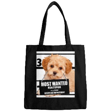 Discover Poodles mosts Wanted Maltipoo Maltese Miniature Poodle dog Poodle dog Bags