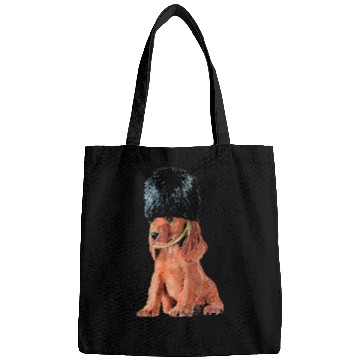 Discover Dog Cocker Spaniel English Cocker Spaniel 7 Bags