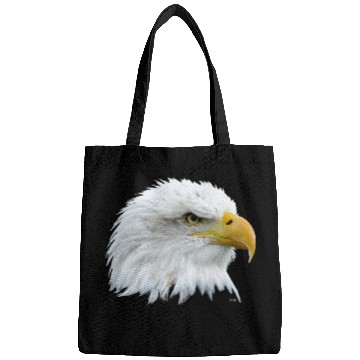 Discover Falconry White Head Eagle Bags