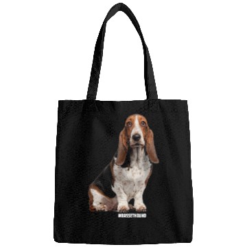 Discover Basset Hound Pet 2 6 Bags