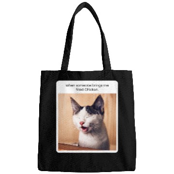 Discover Chicken Pet Funny Cat Meme When Someone Brings Me Fried Bags