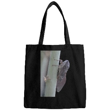 Discover Cicada Vector Cut Out Bags