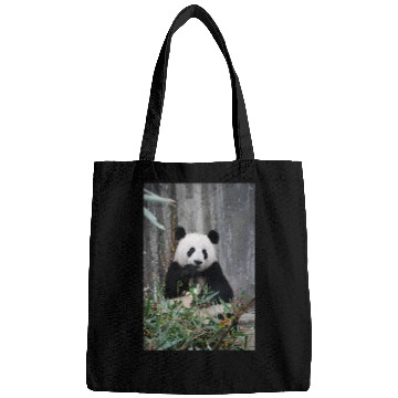 Discover Panda Pet Eating Bamboo Leaves Bags
