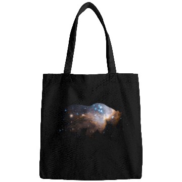 Discover Bear Pet Space Bear NASA Hubble Space Telescope Bags