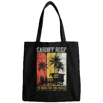 Discover Cardiff Reef Here For The Waves San Diego californias Surf 6 Bags