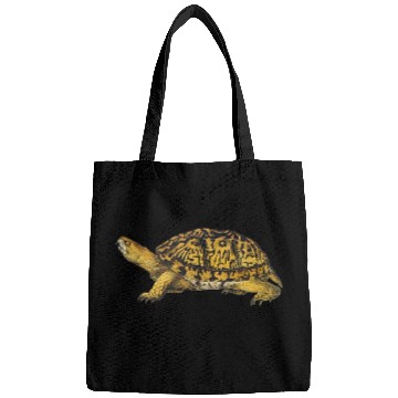 Discover Turtle Pet Eastern Box Turtle Bags