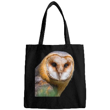 Discover Owl Pet Barn Owl Bird Ornithology Bags