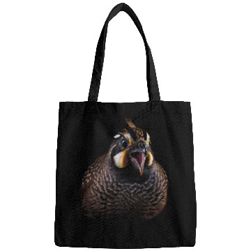 Discover californias Quail State Bird Californian 22 Bags