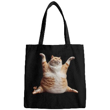Discover Chubby Cat Ballet Dance Whimsical Feline Performance 2 Bags