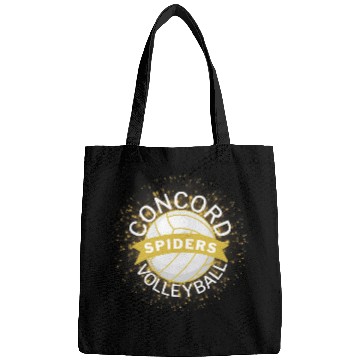 Discover Concord Volleyball with Gold Burst Design Bags