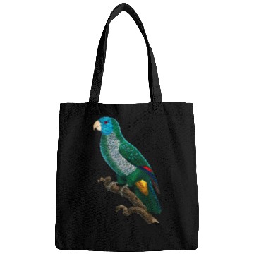 Discover Parrot Tropical bird from the rainforest 25 Bags