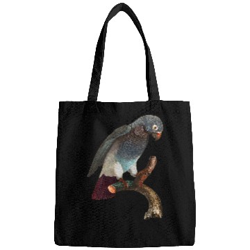 Discover Parrot Tropical bird from the rainforest 23 Bags