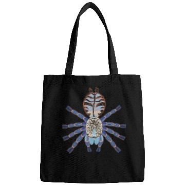 Discover Phormingochilus Sabah Blue Female Spider Tarantula 22 Bags