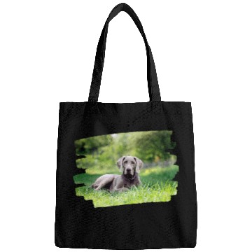 Discover Weimaraner Dog Lover 1 Bags