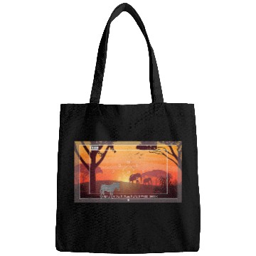 Discover Photography Zebra Pun Video Camera Bags