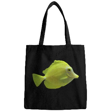 Discover Really Like Surgeonfish Lemon Pallet Pallette Aquarium Reef 3 Bags