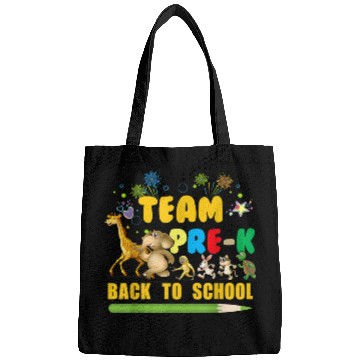 Discover Team PreK PreSchool Back To School Teachers Students Bags