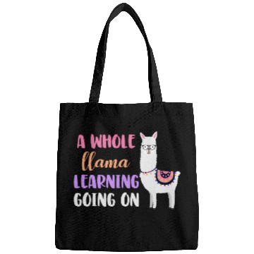 Discover Llama School Teacher Student Whole Llama Learning Bags