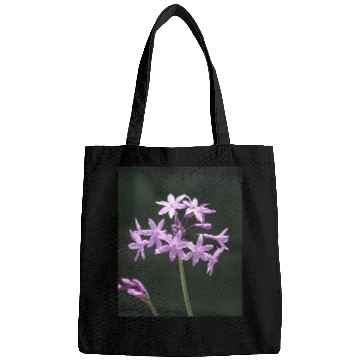 Discover Society Garlic Close Up Photograph Bags