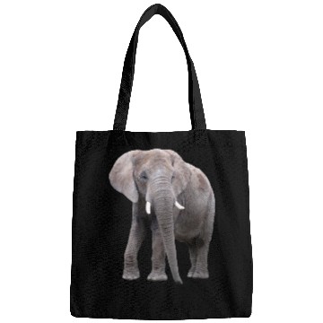 Discover Elephant Bags
