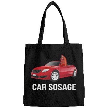 Discover Car Sosage Bags