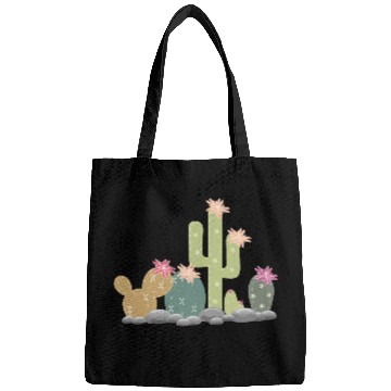 Discover Cactus rock garden with different cacti Bags