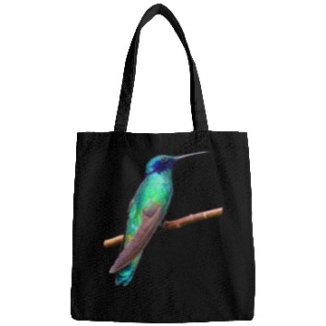 Discover Hummingbird Bags