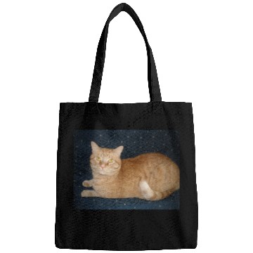 Discover Relaxed Orange Tabby Cat Illustration Bags
