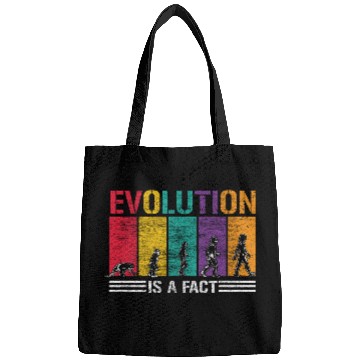 Discover Evolution Development Bags