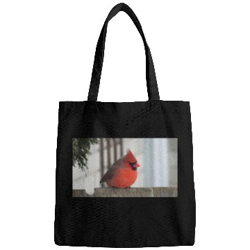 Discover Brilliant Cardinal Bird 2 Bags