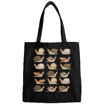 Discover Snail Collection Researcher Biology Snails Bags