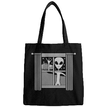 Discover window ufo alien night Bags