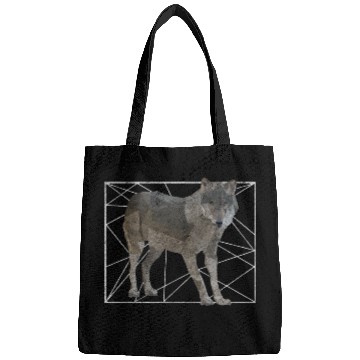 Discover Polygon Triangle Geometric Shape Bags