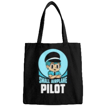 Discover Small Airplane Pilot Aircraft Private Bags