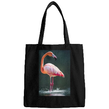 Discover Flamingo in a lake with water splashes Bags