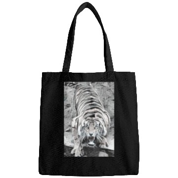 Discover Tiger Draw BW Looking Up Bags