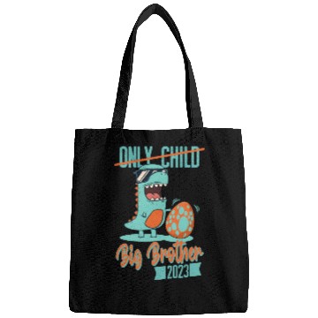 Discover Only Child Dinosaur Baby Egg 2023 Big Brother Bags