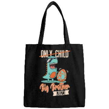 Discover Only Child Dinosaur Baby Egg 2023 Big Brother Bags