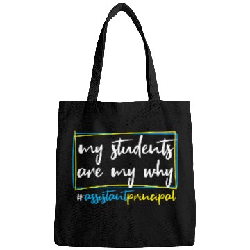 Discover Assistant Principal Bags