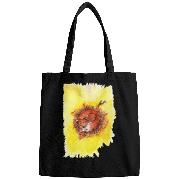 Discover Sleeping fox Bags