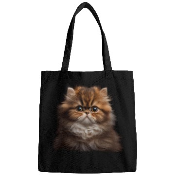 Discover Persian Cat - A Sweet Gift Idea For All Cat Bags